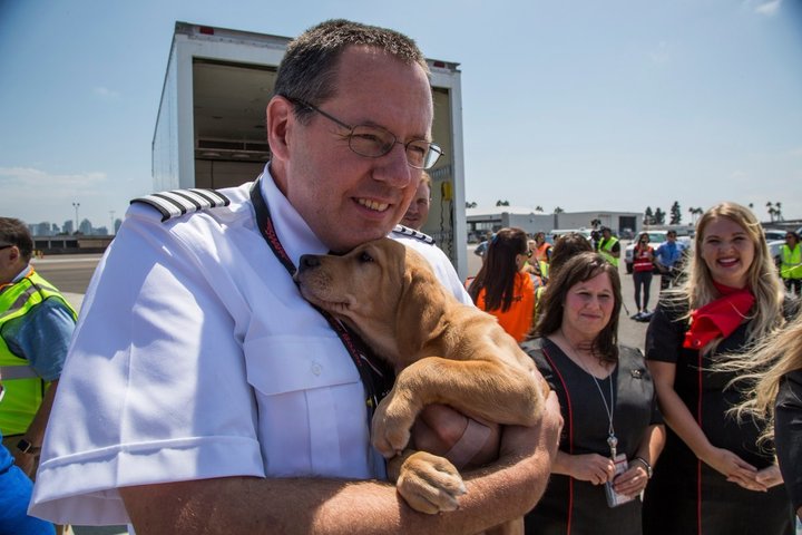 Southwest Airlines pilot holds puppy