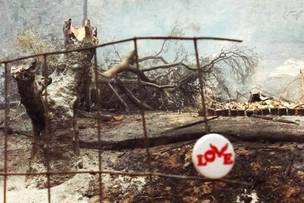 Love Button Quenches All Fires