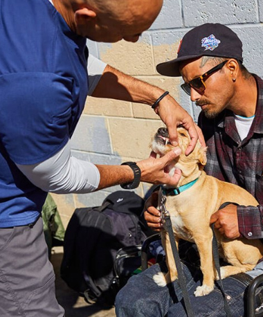 Veterinarian Gives Free Medical Care to Pets From Homeless People