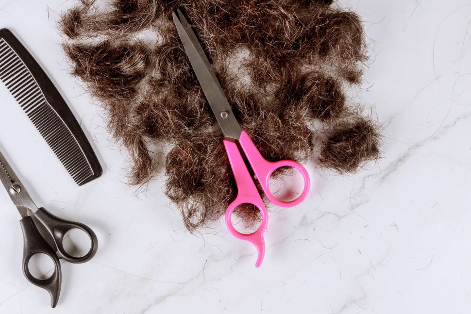 Heartwarming Video of Boyfriend Shaving Girlfriend's Hair