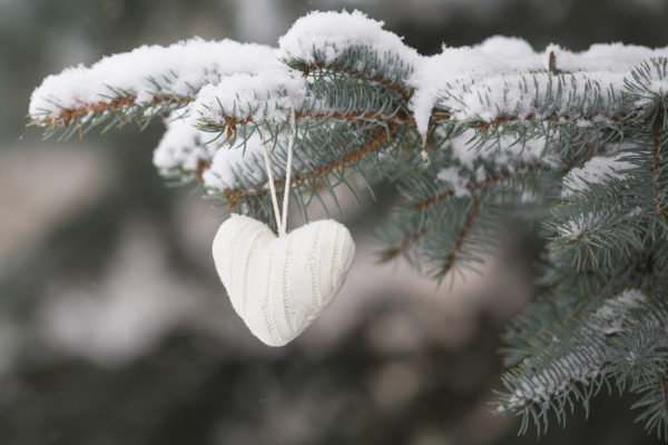 Love in War The Christmas Truce of WWI