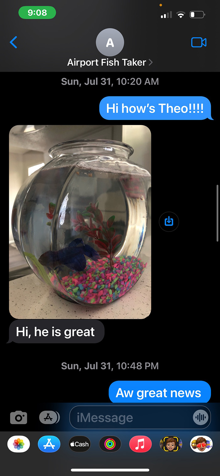 Airplane Employee Look After Passenger's Pet Fish for 4 Months