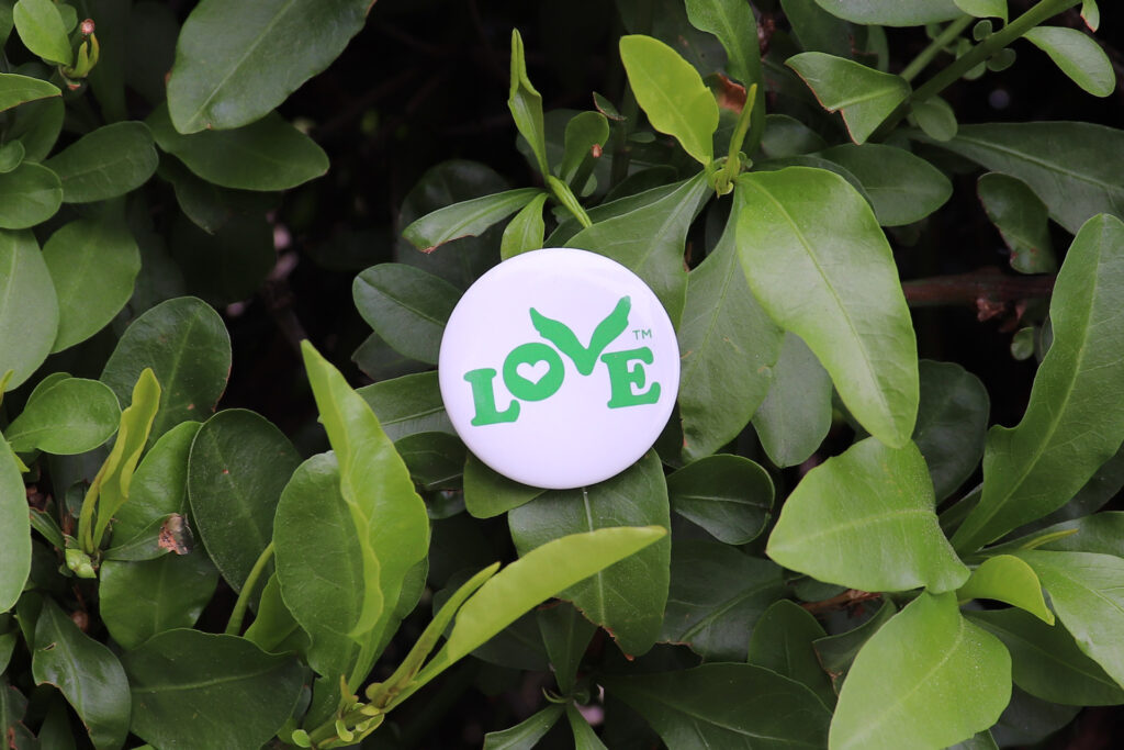 Start Fresh This Spring with Small Acts of Kindness