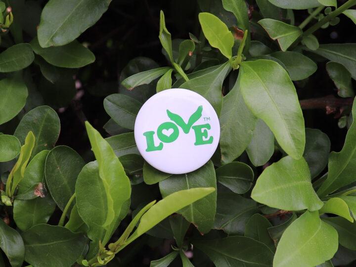 Start Fresh This Spring with Small Acts of Kindness
